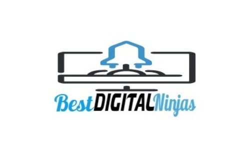 Best Digital Ninjas Logo